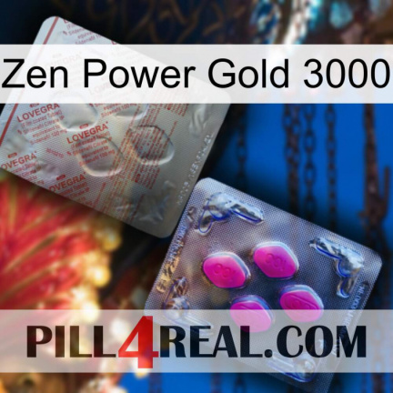 Zen Power Gold 3000 38